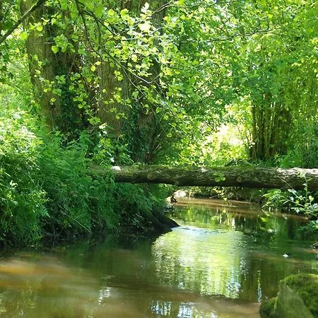 Le Moulin Moreau Saint-Pierre-des-Echaubrognes